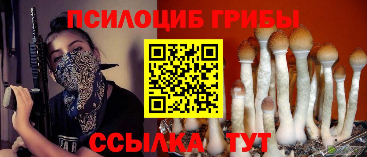 Псилоцибиновые грибы GOLDEN TEACHER  Вход с VPN  Стрежевой 